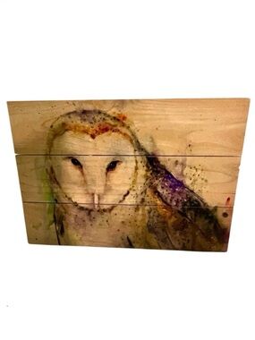 Rustic Owl Wood Wall Art Wile E Wood Art Handmade Farmhouse Decor